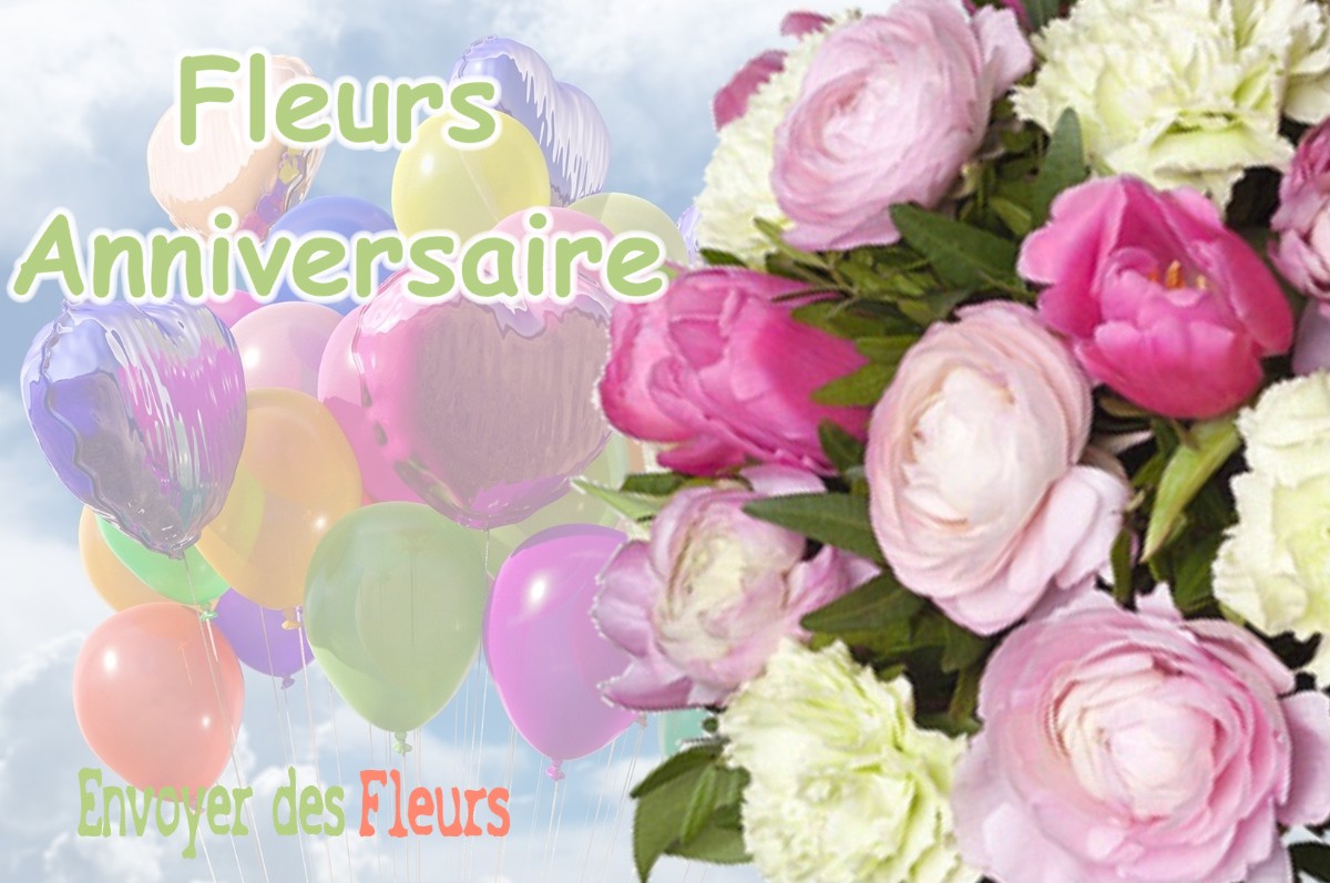 lIVRAISON FLEURS ANNIVERSAIRE à VILLEFONTAINE