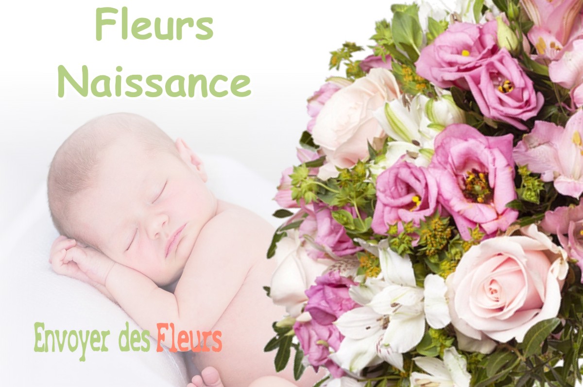 lIVRAISON FLEURS NAISSANCE à VILLEFONTAINE